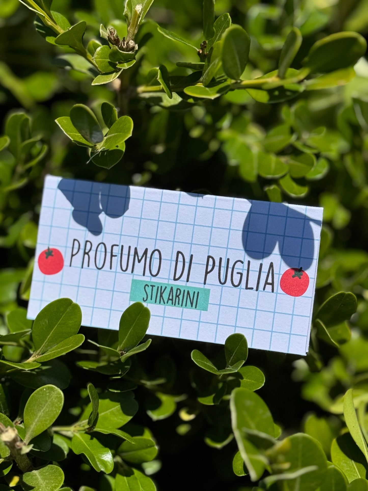 Profumo di Puglia